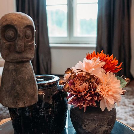 B&B Maison Mairie ハッセルト エクステリア 写真