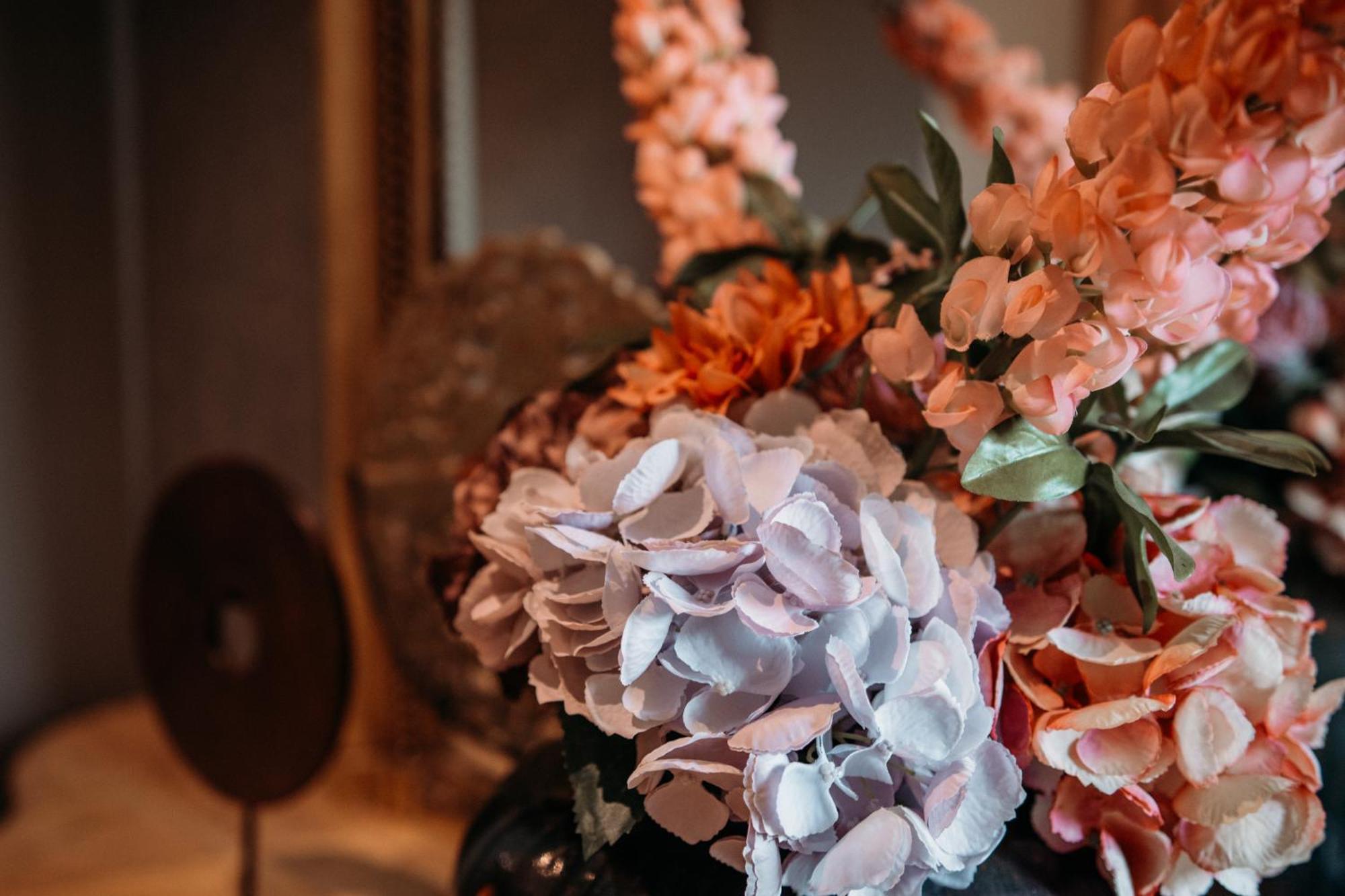 B&B Maison Mairie ハッセルト エクステリア 写真